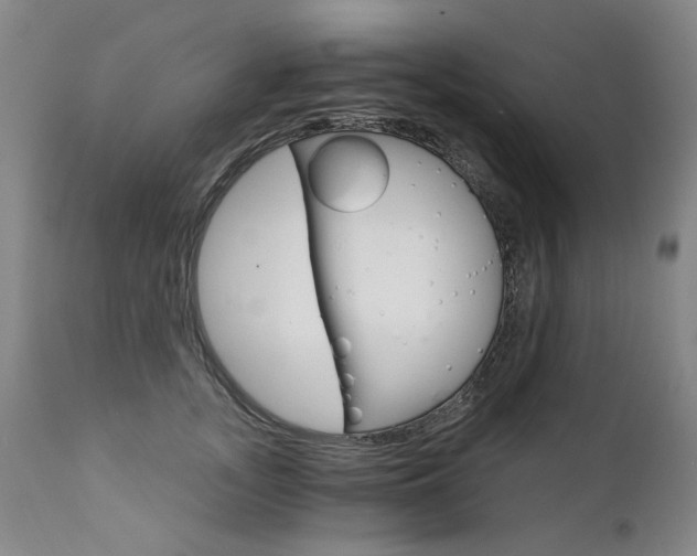 X0000111930755200907271313