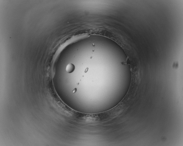 X0000111930756200907271313
