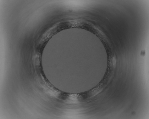 X0000111930757200907271313