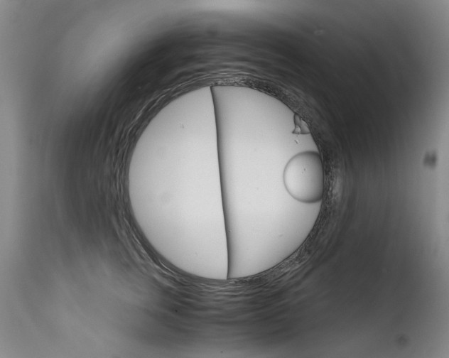 X0000111930759200907271313