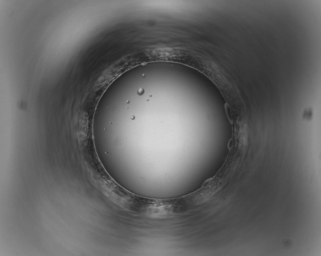 X0000111930760200907271313