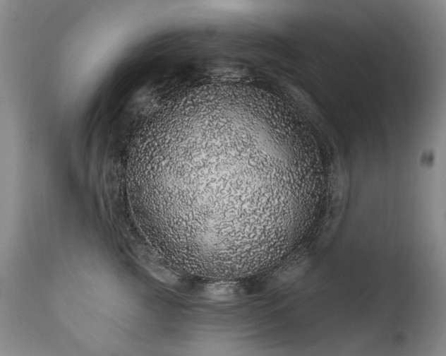 X0000111930761200907271313