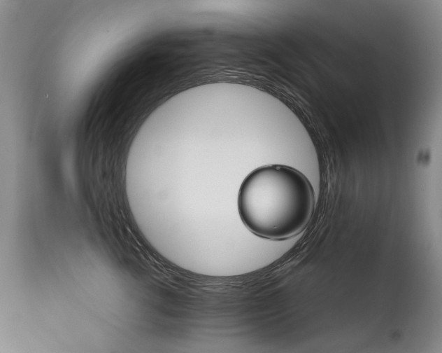 X0000111930762200907271313