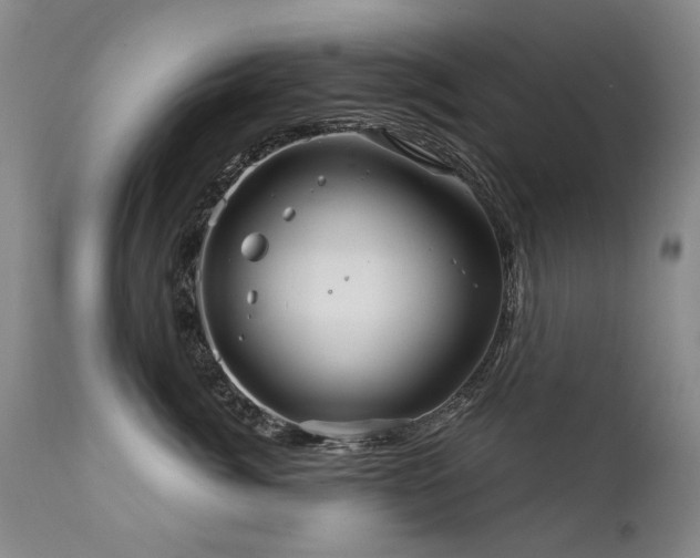 X0000111930764200907271313