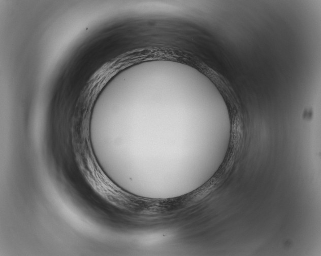 X0000111930765200907271313