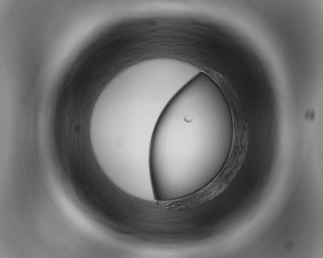 X0000111930766200907271313