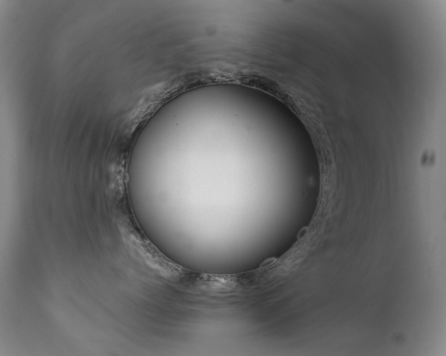 X0000111930768200907271313