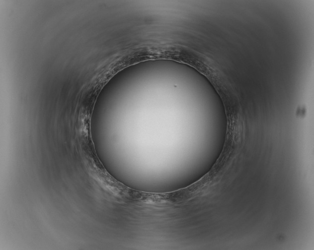 X0000111930770200907271312