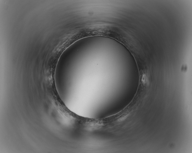 X0000111930771200907271312