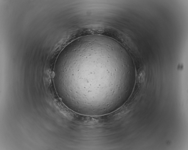 X0000111930772200907271312