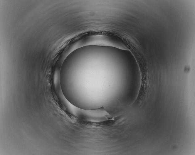 X0000111930773200907271312