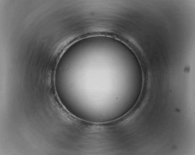 X0000111930777200907271312