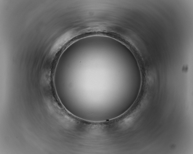 X0000111930778200907271312