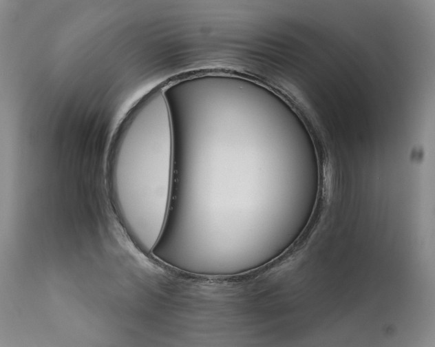 X0000111930780200907271312