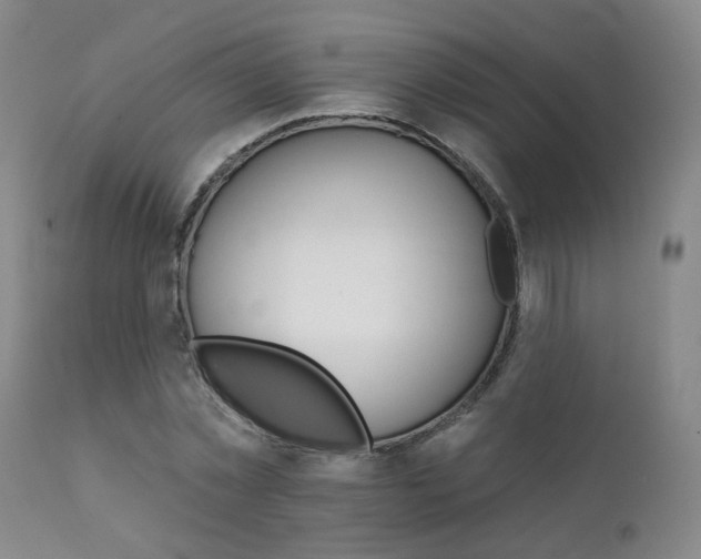 X0000111930781200907271312