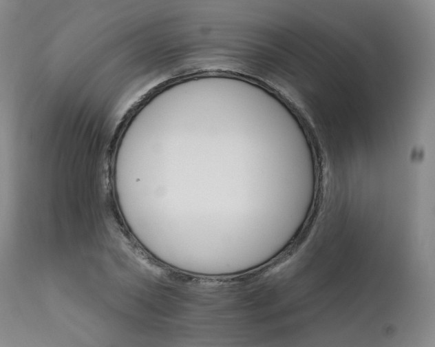 X0000111930782200907271312