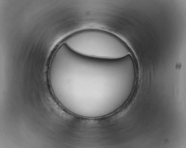 X0000111930783200907271312