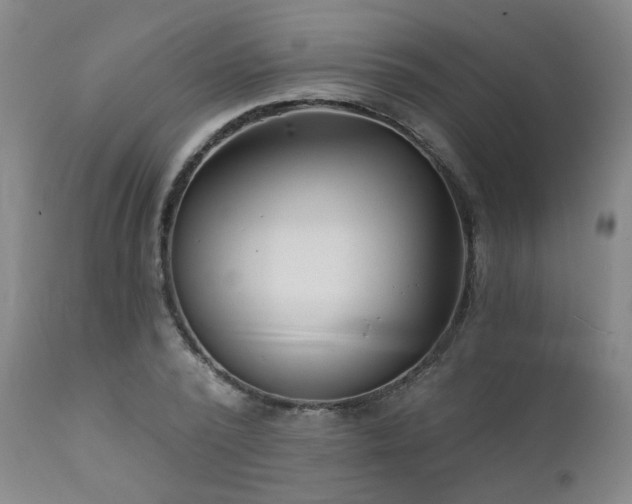 X0000111930784200907271312