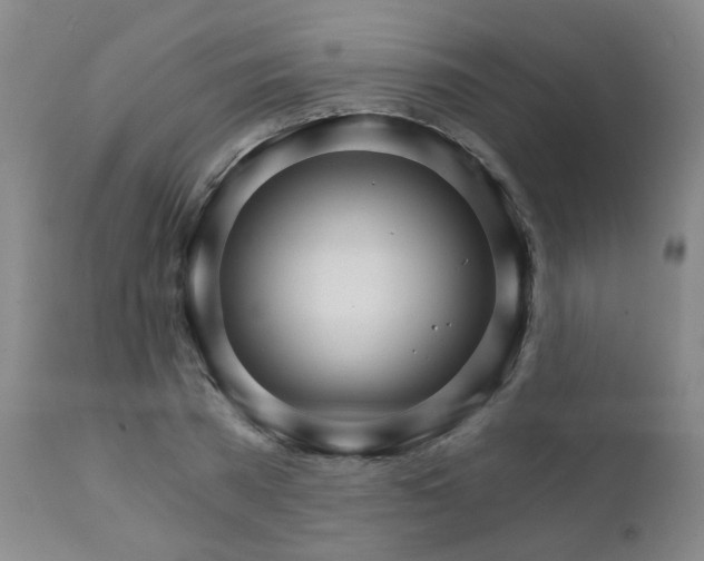 X0000111930785200907271312
