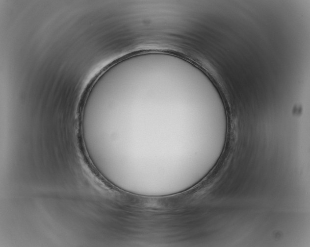 X0000111930787200907271312
