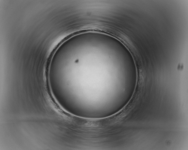 X0000111930788200907271312