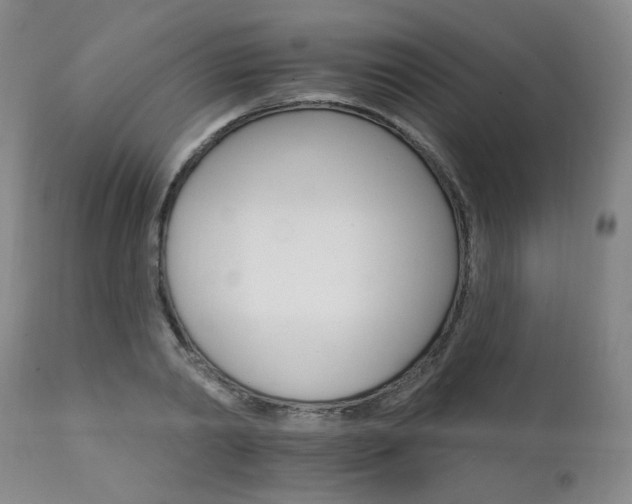X0000111930790200907271312