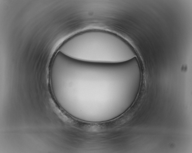 X0000111930791200907271312