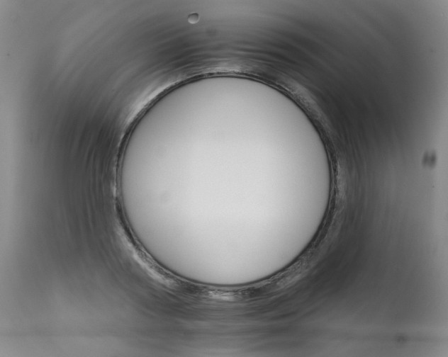 X0000111930794200907271312