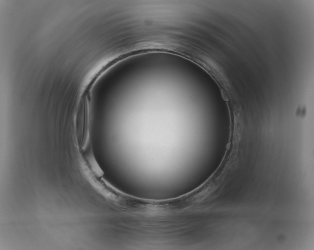 X0000111930796200907271312
