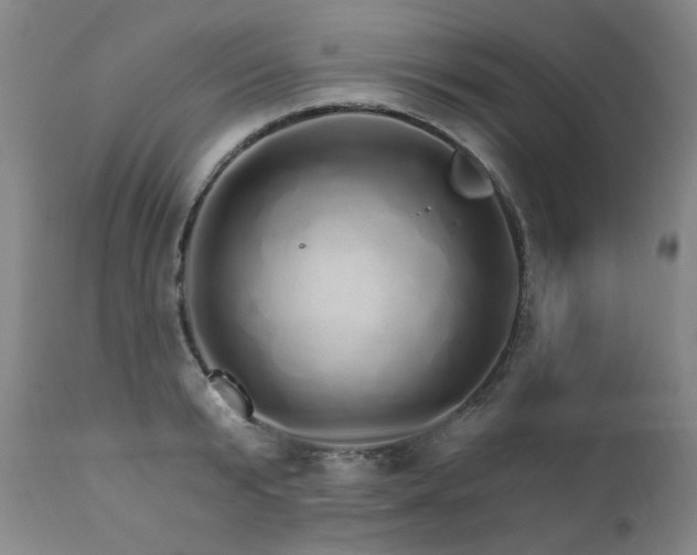 X0000111930799200907271312