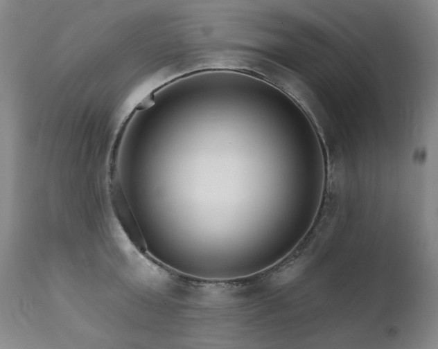 X0000111930803200907271312