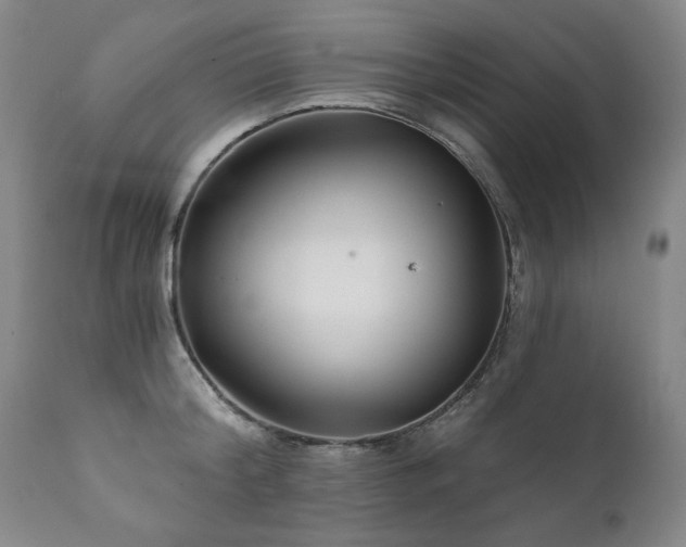 X0000111930804200907271312