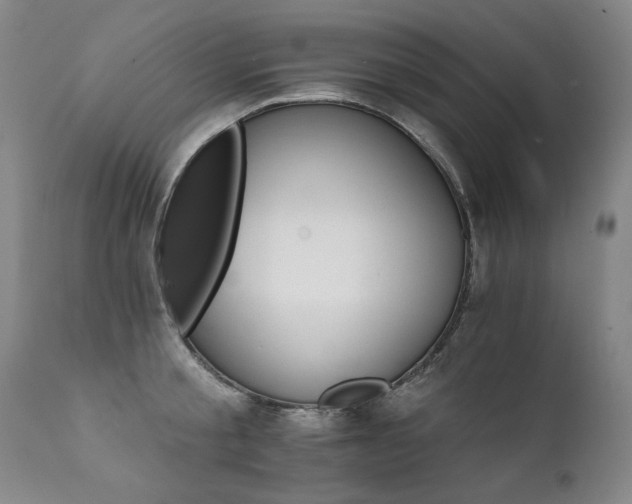 X0000111930805200907271312