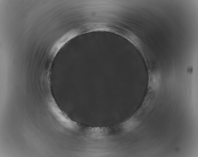 X0000111930806200907271312