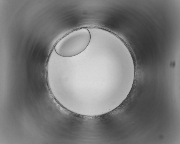 X0000111930807200907271312