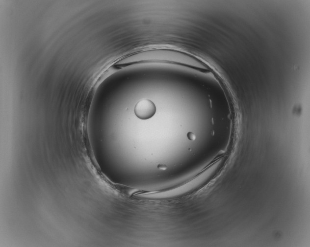 X0000111930809200907271312