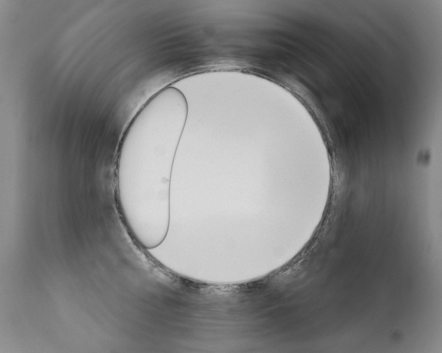 X0000111930810200907271312