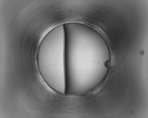 X0000111930812200907271312