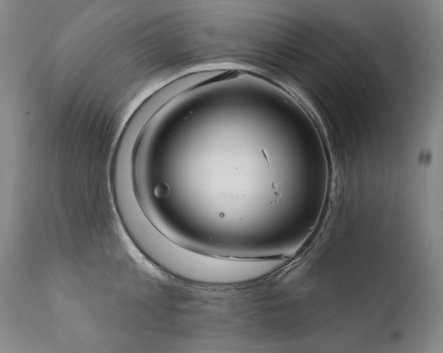 X0000111930813200907271312