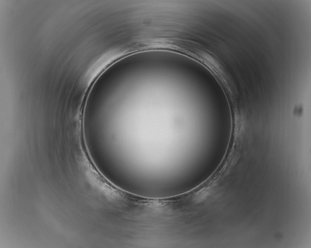 X0000111930814200907271312