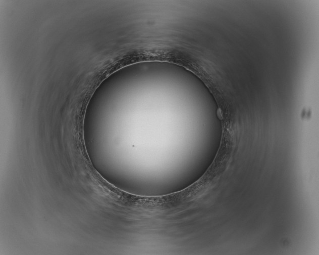X0000111930817200907271311