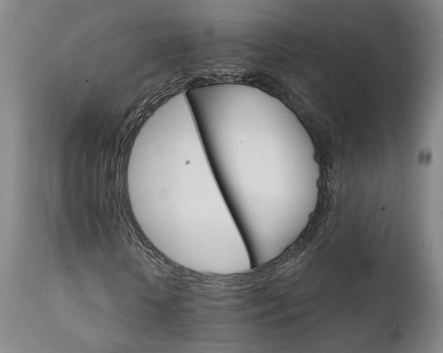 X0000111930818200907271311