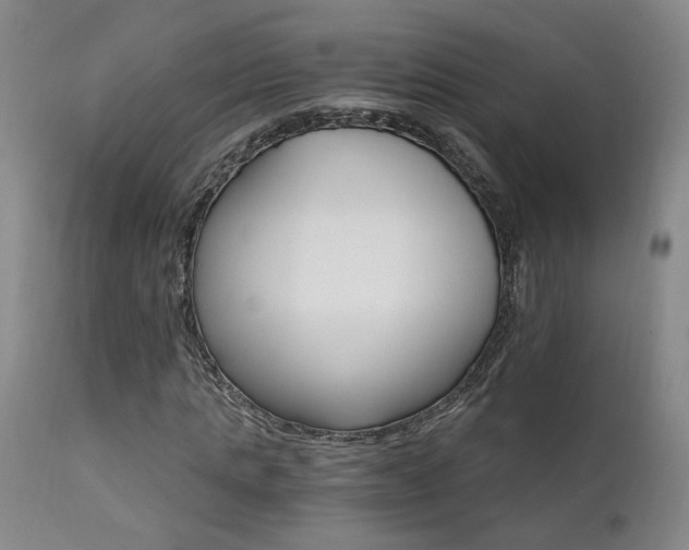 X0000111930821200907271311