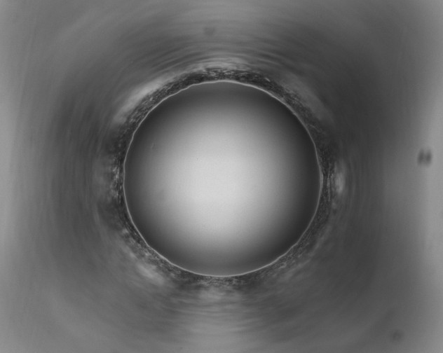 X0000111930822200907271311