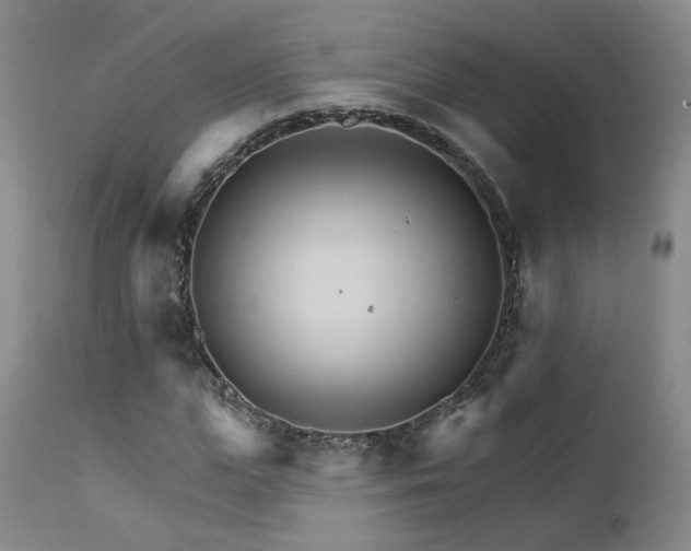 X0000111930823200907271311