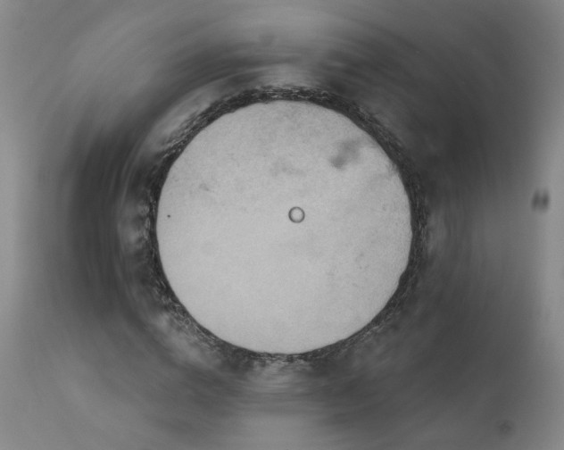 X0000111930824200907271311