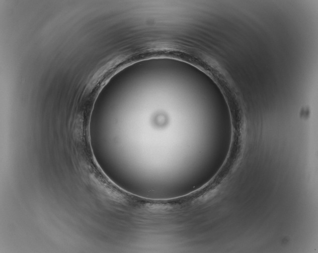 X0000111930825200907271311