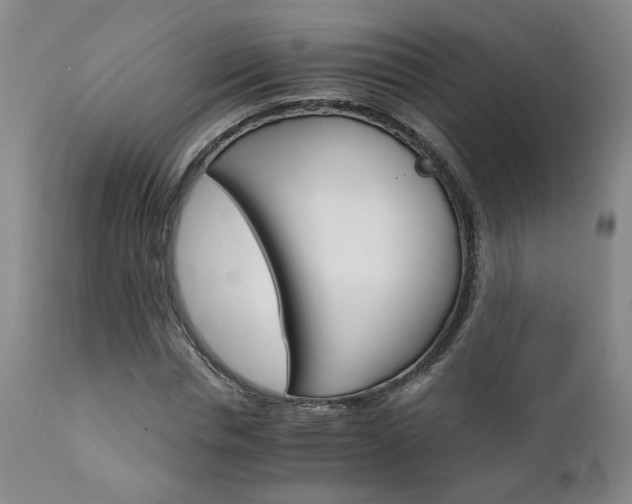 X0000111930826200907271311