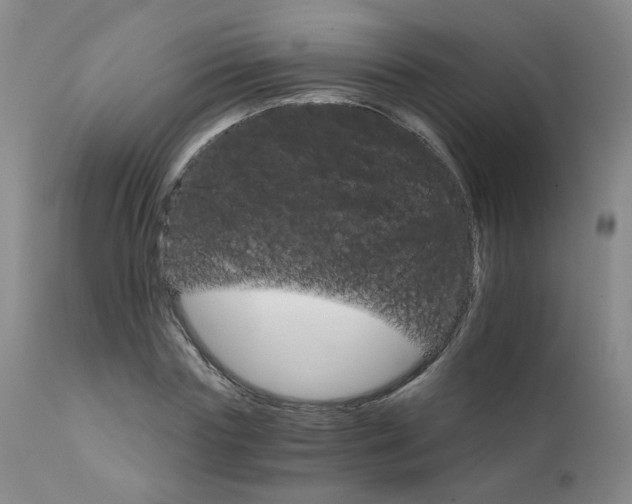 X0000111930827200907271311