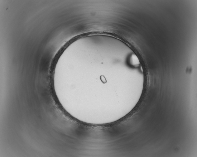 X0000111930828200907271311